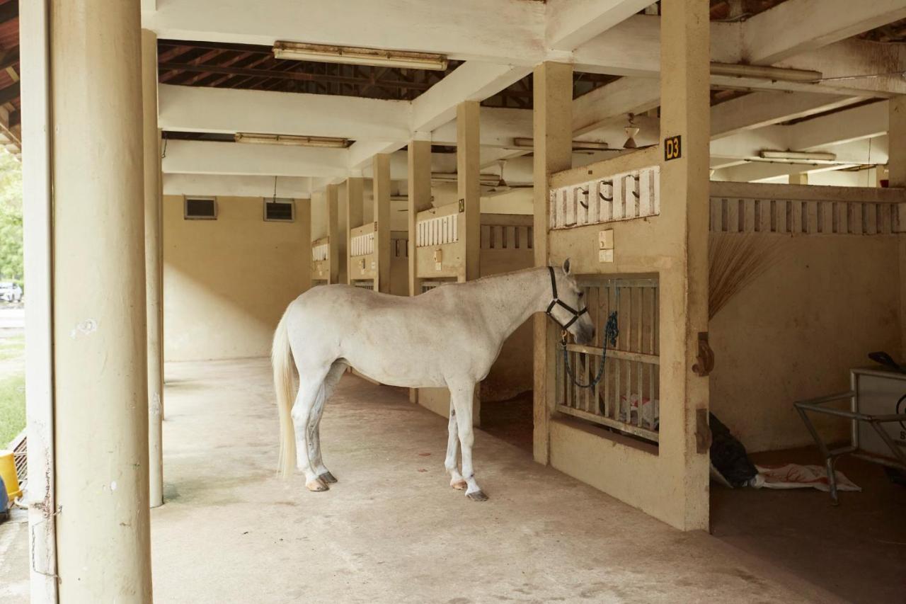 קואלה טרנגאנו Terengganu Equestrian Resort מראה חיצוני תמונה