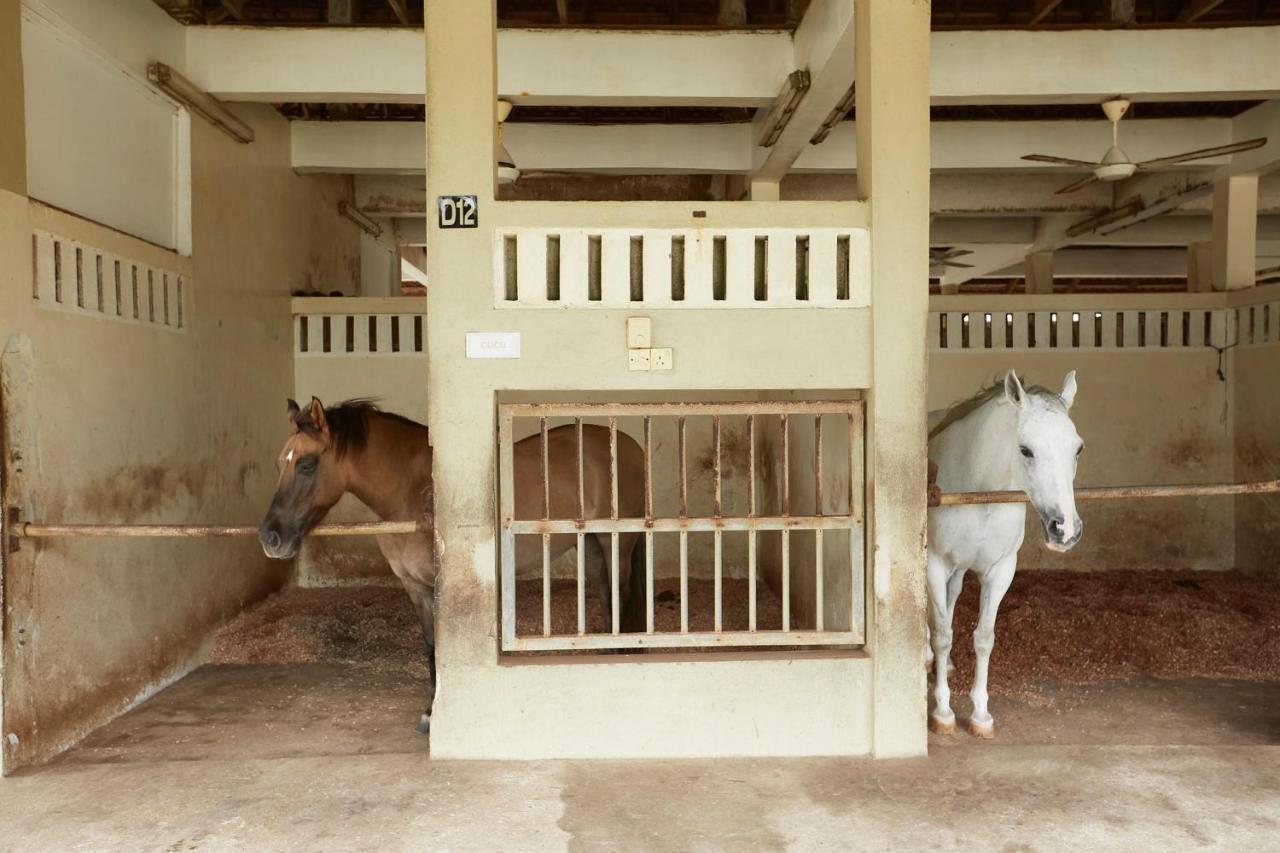 קואלה טרנגאנו Terengganu Equestrian Resort מראה חיצוני תמונה
