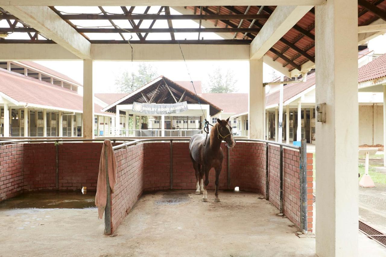 קואלה טרנגאנו Terengganu Equestrian Resort מראה חיצוני תמונה
