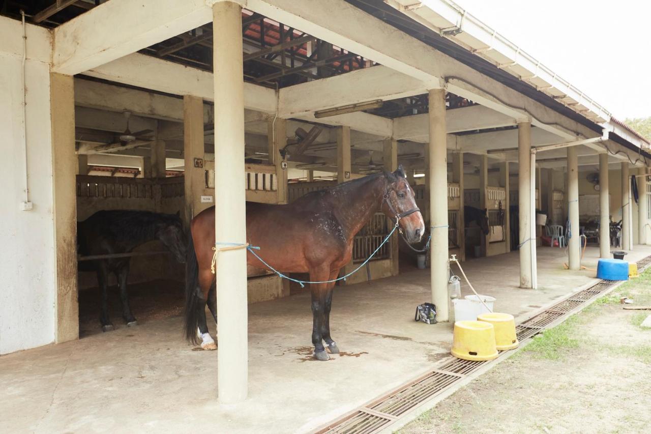 קואלה טרנגאנו Terengganu Equestrian Resort מראה חיצוני תמונה