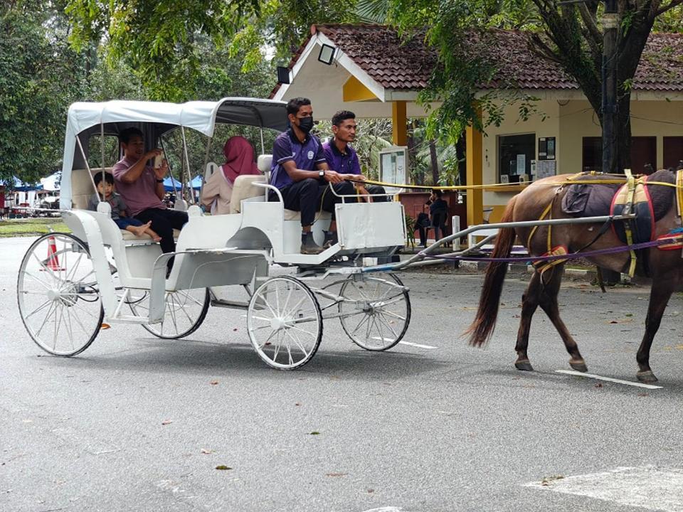 קואלה טרנגאנו Terengganu Equestrian Resort מראה חיצוני תמונה